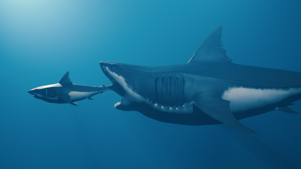 Researchers Think They Spot A Megalodon On Their Fish Finder Only To Be Disappointed By The Truth