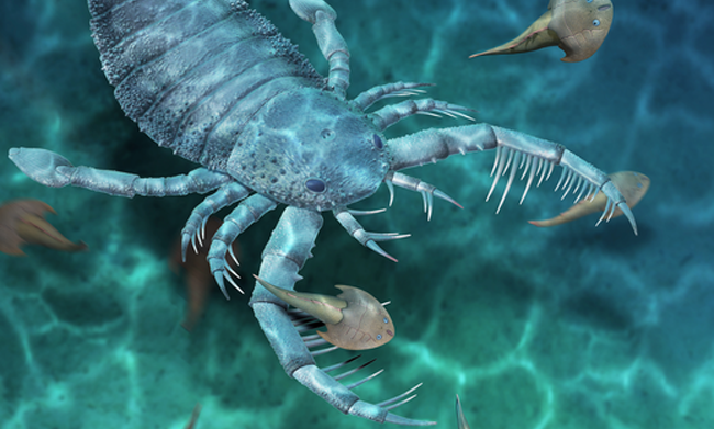 Scientists Discover Fossils Of A Terrifying, Giant 'Sea Scorpion' That Lived 435 Million Years Ago