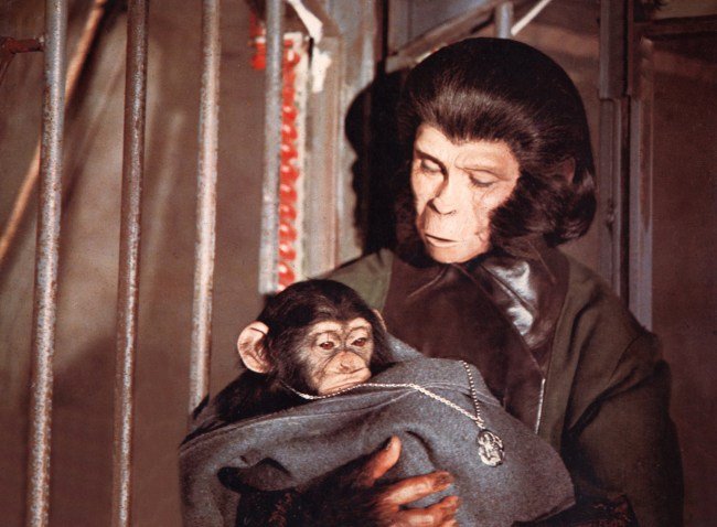 Scientists Spliced Human Genes With Monkeys And Doubled The Size Of Their Brains In ‘Planet Of The Apes’ Experiment