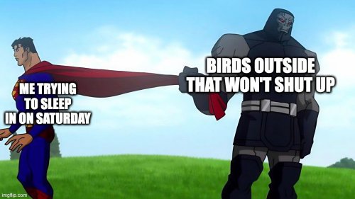 The Best Memes This Weekend: 45 Of The Funniest New Memes For Saturday