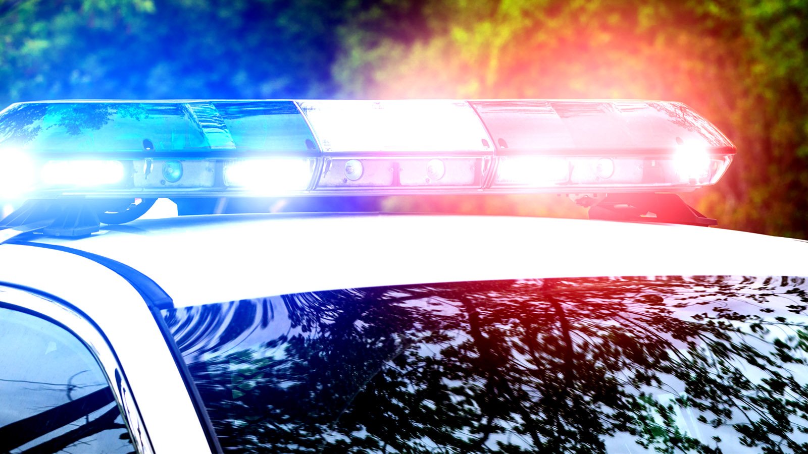 Florida Cop Mistakes Falling Acorn For Gunfire, Riddles His Own Car With Bullets