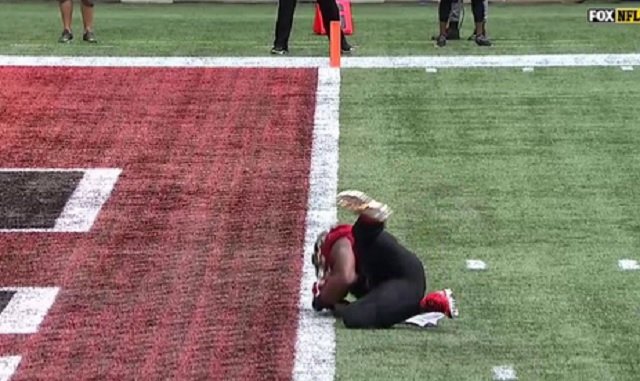 NFL Fans React To Todd Gurley's 'Accidental' TD That Ended Up Costing The Falcons The Game Against The Lions