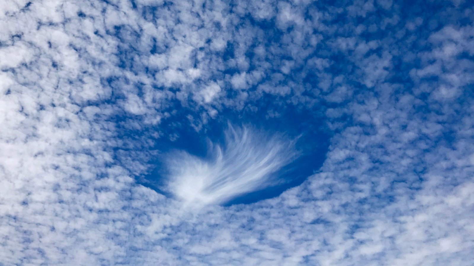 Fishermen Spot Rare Clouds Off Key West That Look Like UFOs