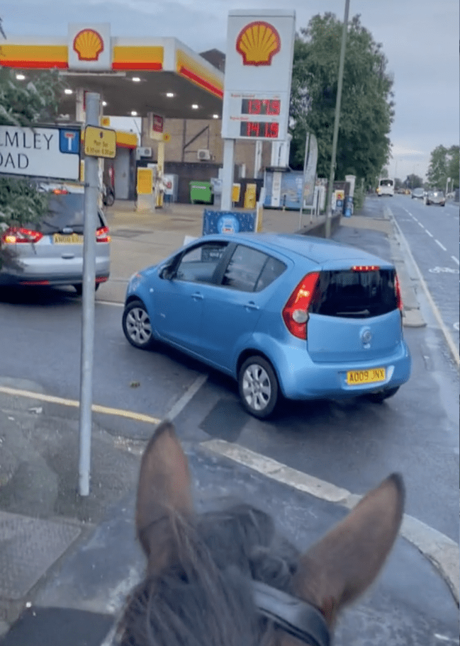 Dolphin On Horseback Taunts Drivers Waiting At London Gas Station In Viral TikTok Video