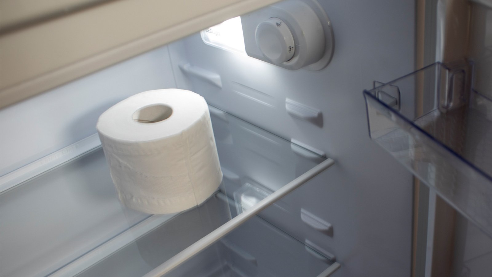 Should You Keep A Roll Of Toilet Paper In Your Fridge? A Viral Life Hack Claims There’s A Good Reason
