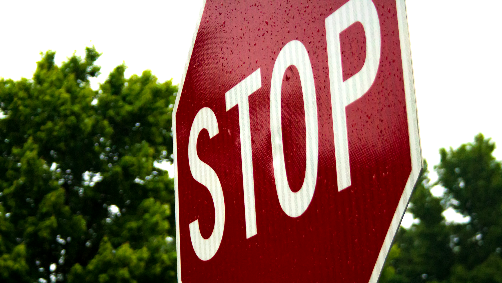 The Internet Can't Get Enough Of This Twitch Feed Of A Stop Sign Where No One Stops