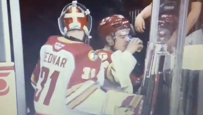 Canadian Hockey Player Chugs Fan’s Beer After Capping Off Triple-Overtime Win