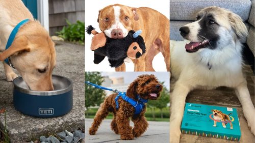 Bark, Bark: We’ve Got The Perfect Gift Guide For Dog Lovers This Holiday Season