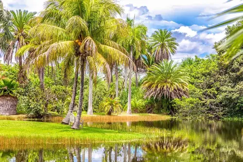 Hidden Gems and Secret Places to Visit in Florida, the Sunshine State