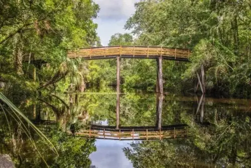 The Best Outdoor Spaces In Florida for Nature Lovers