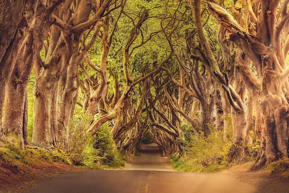 Road Trips of a Lifetime and Other Bucket List Adventures