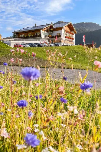 Living Sustainably and in Harmony with Nature In This Austrian Hidden Gem