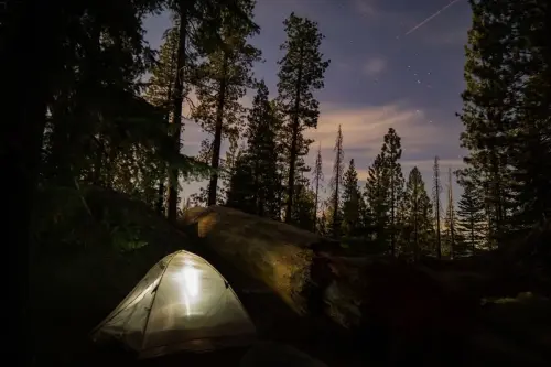 Best Places to Go Camping This Winter in California