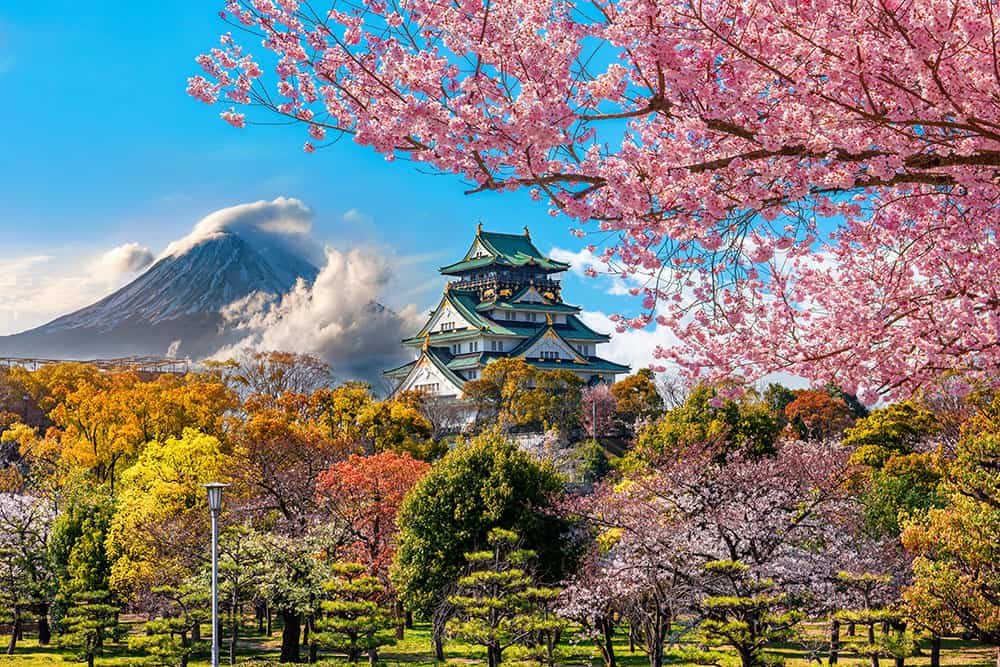 Where to See Cherry Blossoms Around the World