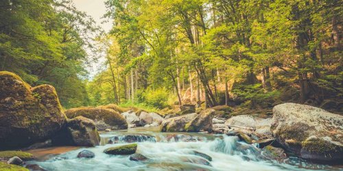 Capital Conservation | Brown Advisory