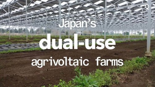 Japan's Dual-Purpose Solar Farm