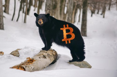 CryptoQuant-CEO: "Der Bitcoin-Bullenzyklus ist vorbei"