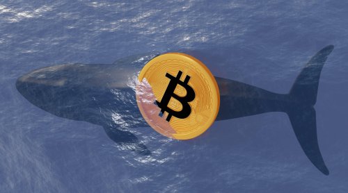 Bitcoin-Wal erwacht: Casht ein BTC-Frühinvestor 30 Millionen aus?