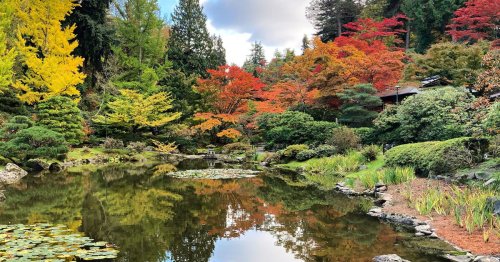Visit the 6 most stunning Japanese gardens in America