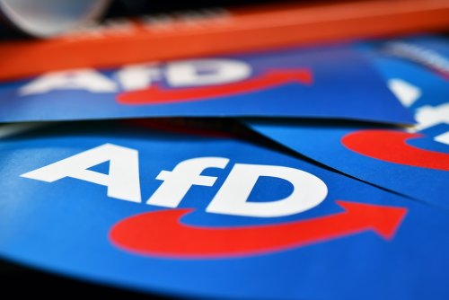 Immer mehr Details: Verfassungsschutz-Gutachten zur AfD trägt 400 Seiten „rassistische Äußerungen“ zusammen