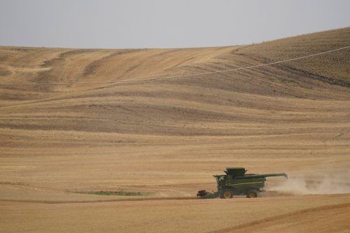 Expertin für Nahrungssicherheit: Weltweite Weizenvorräte reichen nur noch für die nächsten 10 Wochen
