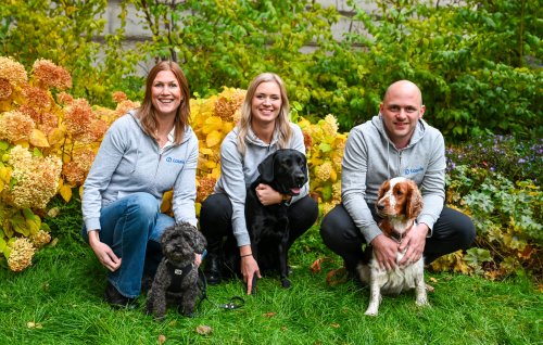 Nach Expansion in Deutschland: Tierversicherungs-Startup Lassie sammelt 23 Millionen ein