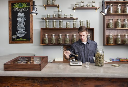 Schon vier Millionen Konsumenten –„Cannabis-Legalisierung lässt sich nicht mehr aufhalten“