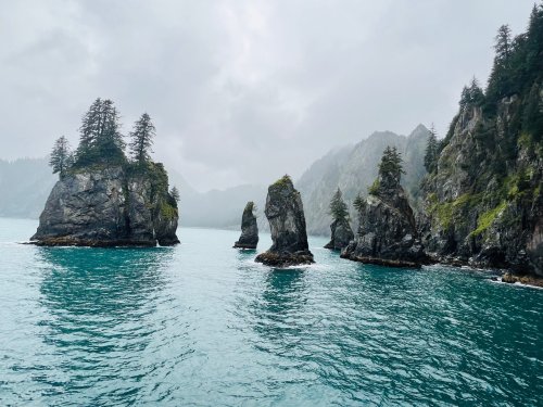 Von Orcas bis Magaritas aus Gletschereis: Ich war auf einer sechsstündigen Kreuzfahrt durch Alaska
