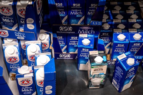 Darum könnte Milch wieder billiger werden, laut Verband