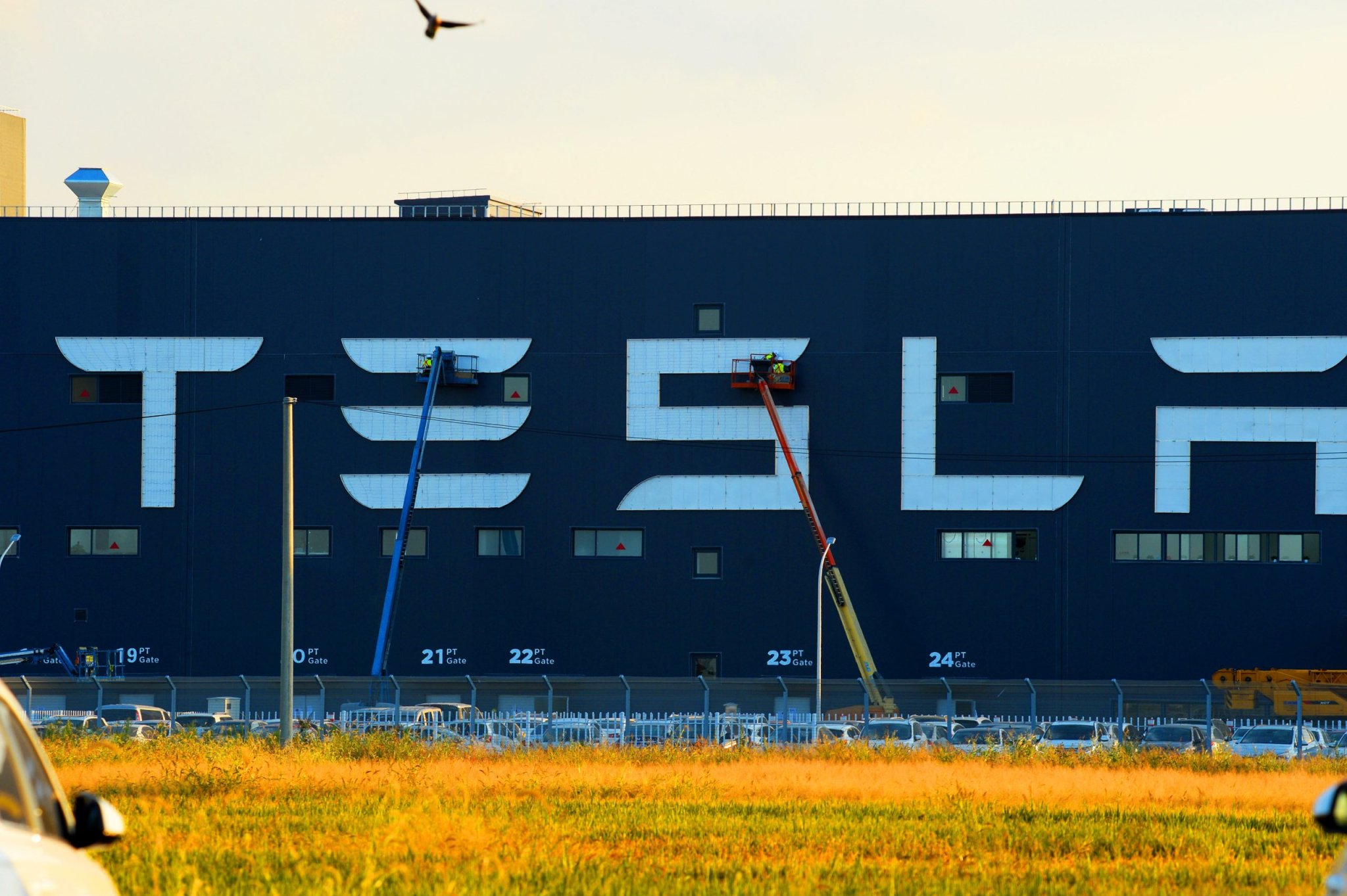 Gigafactory 4 wird zur Jobmaschine: Tesla will in Brandenburg bis zu 12.000 Arbeitsplätze schaffen