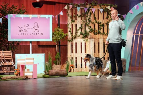DHDL: Deal für Hundeleinen von Little Captain nach der Sendung geplatzt
