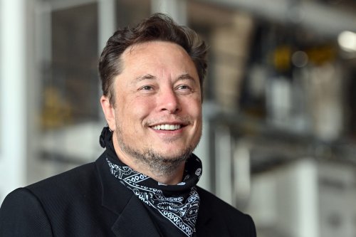 Elon Musk versteckt sich hinter einer Ausrede, um vom Twitter-Kauf Abstand zu nehmen, sagt Wedbush-Analyst Ives