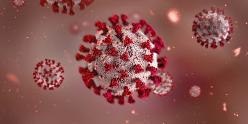 Bei vielversprechender Studie: Krebs eines Patienten konnte durch ein Herpes-Virus bekämpft werden