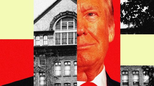 "Esto es una crisis": la estrategia de alto riesgo de Harvard para defenderse de Trump ya tiene consecuencias