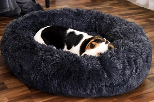 Mejores camas para perros que puedes comprar