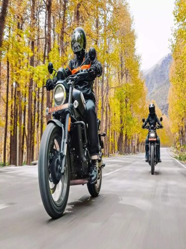 best harley davidson bike for indian roads