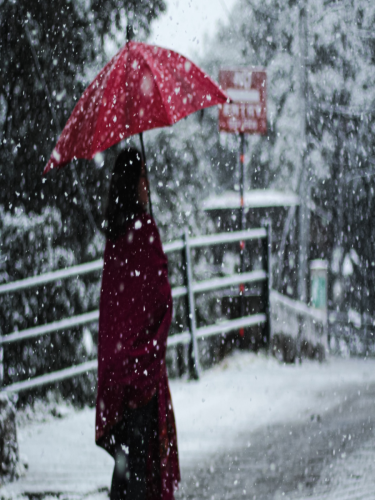 10 Best honeymoon places near Delhi