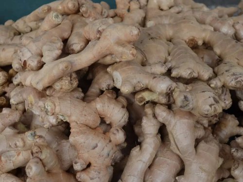 Exploring the wonders of ginger: A comprehensive guide