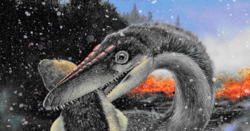 Protofeathers may have helped dinosaurs survive freezing weather and dominate the world