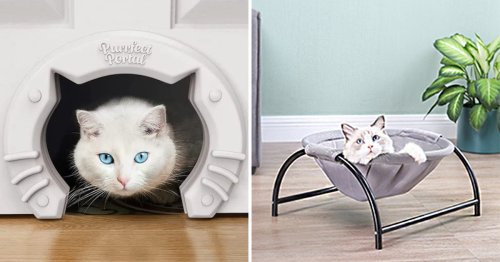 If Your Cat Is Messing Up Your Home, You'll Wish You Knew About These 20 Genius Things Sooner