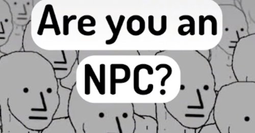 If You Keep Seeing "NPC" On TikTok, Here's What It Means