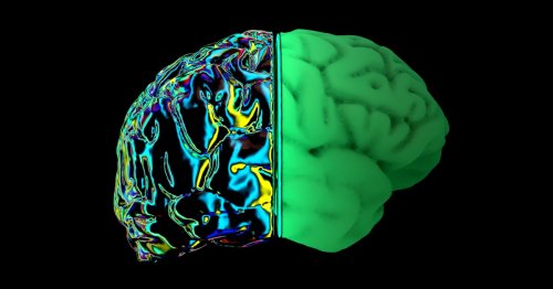 Brain scan study links social anxiety to an empathy "imbalance"
