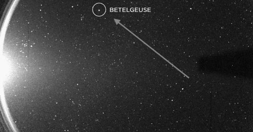 Astronomers may have discovered a way to tell if Betelgeuse is about to blow up