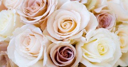 16 Cheap Wedding Flowers That Still Look Beautiful For Couples On A Tight Budget Flipboard