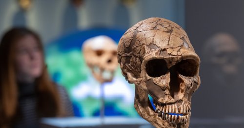 Neanderthals and Humans Coexisted For So Much Longer Than We Thought