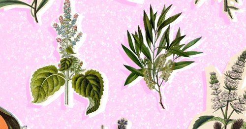 The 10 Actually Essential Essential Oils