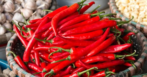Why does spicy food make you sweat? A neuroscientist breaks it down