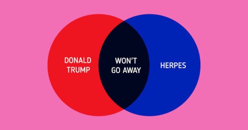 9 Hilarious Venn Diagrams That Perfectly Troll The 2016 Presidential Race
