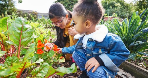 Why Your Kids’ School Needs A Garden