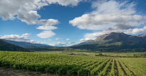 Latin America Is The Wine Destination You're Missing Out On